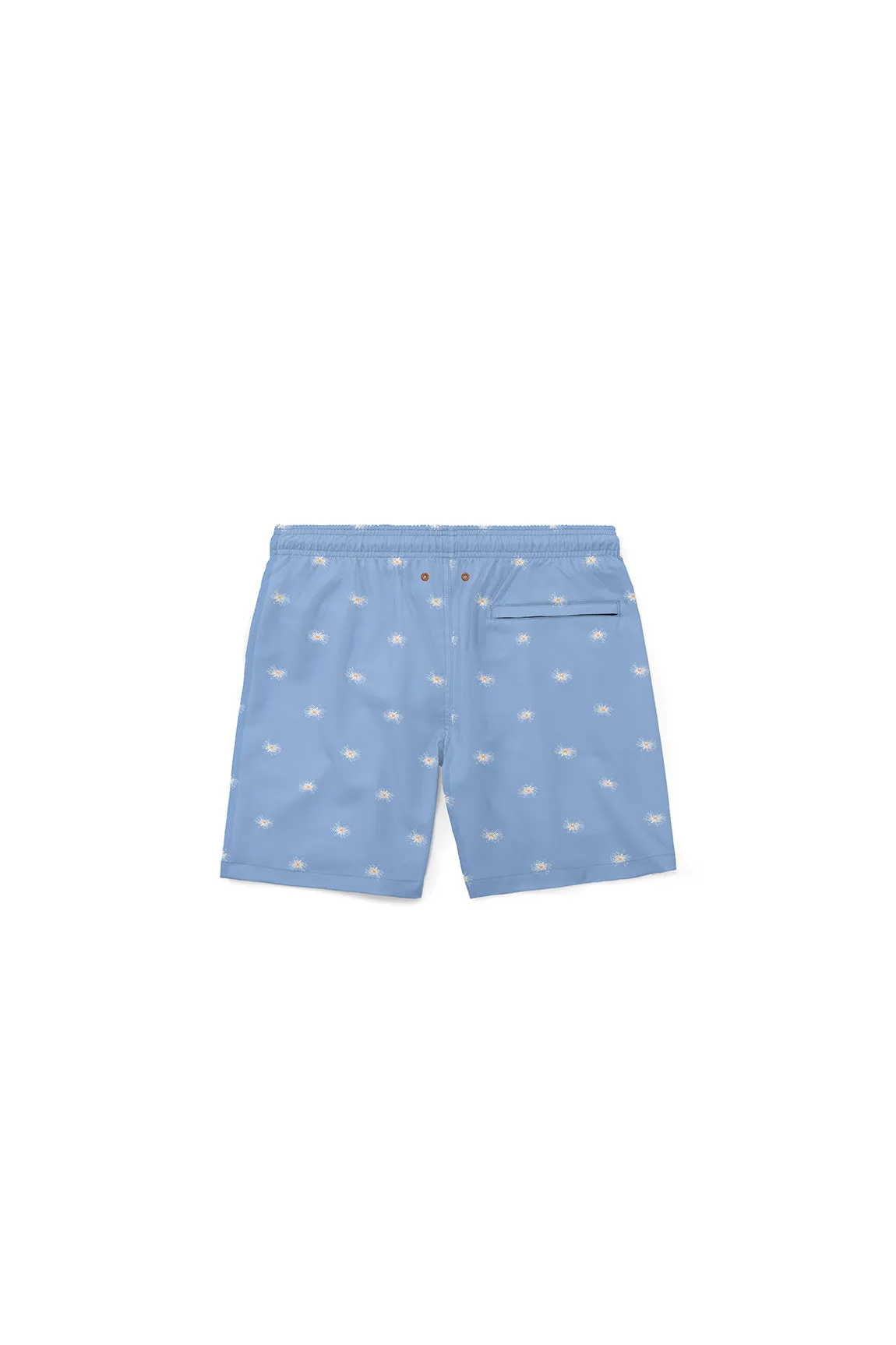 A Mini Daisy Boy Trunk - Image 4