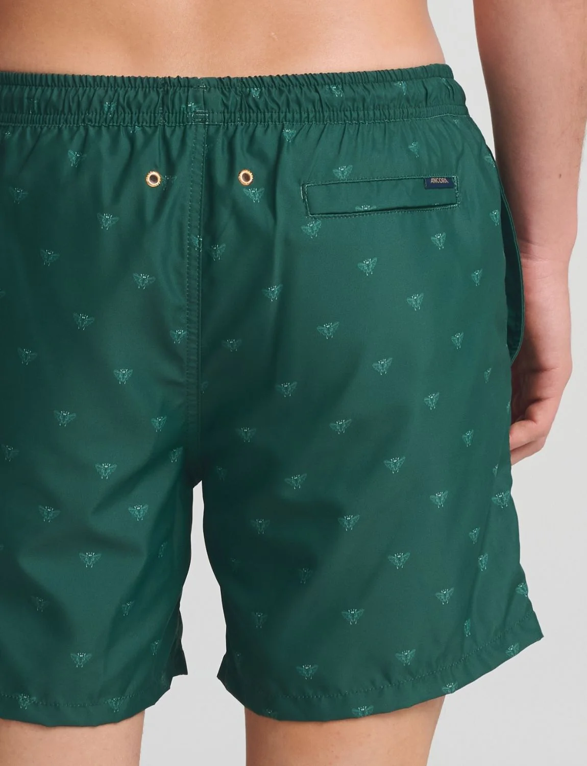 Avyra Trunk - Image 3