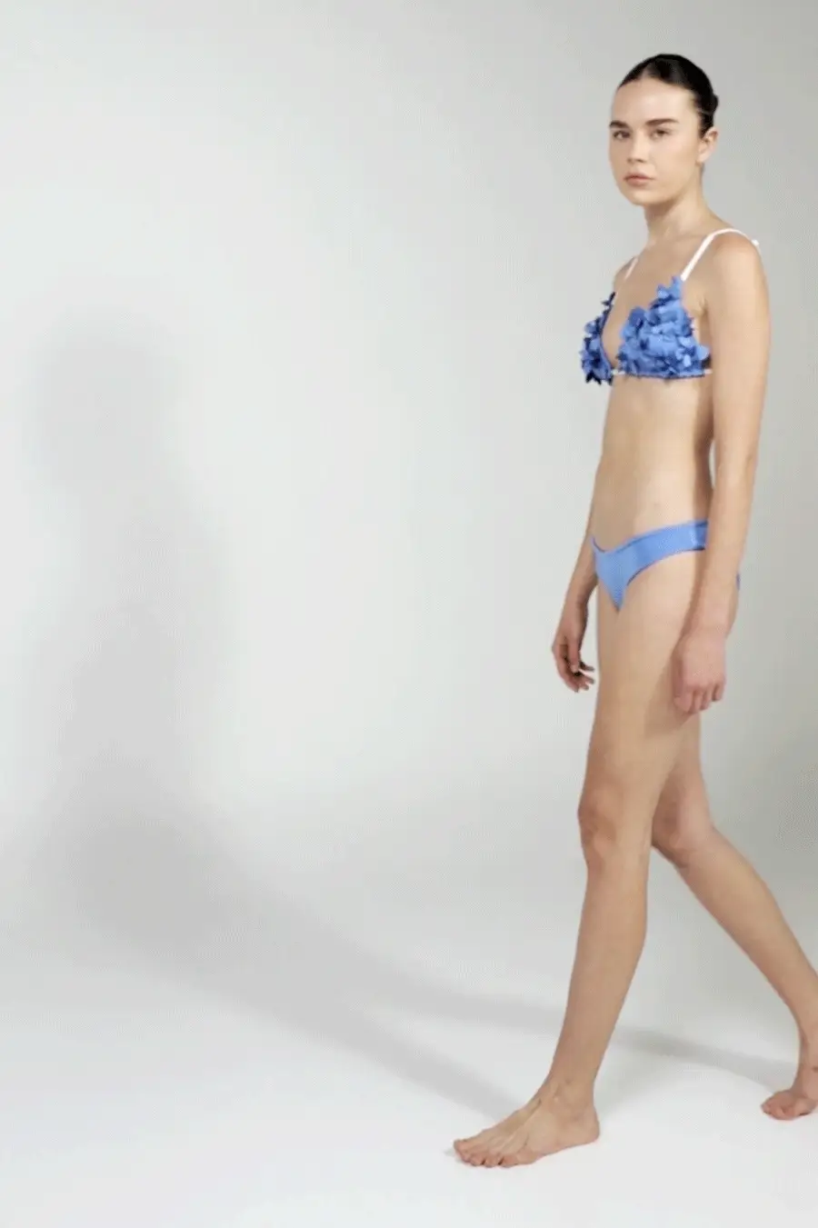 Bottom Blue Dichotomy - Image 5