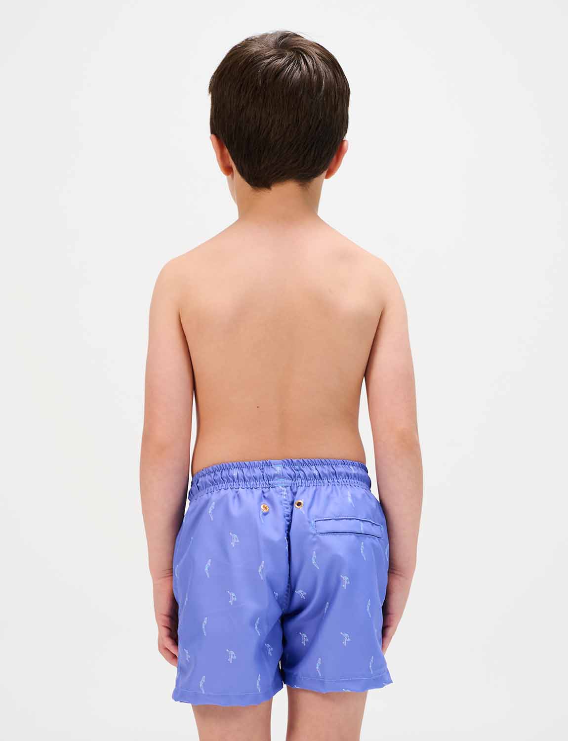 Noli Mini Trunk - Image 3