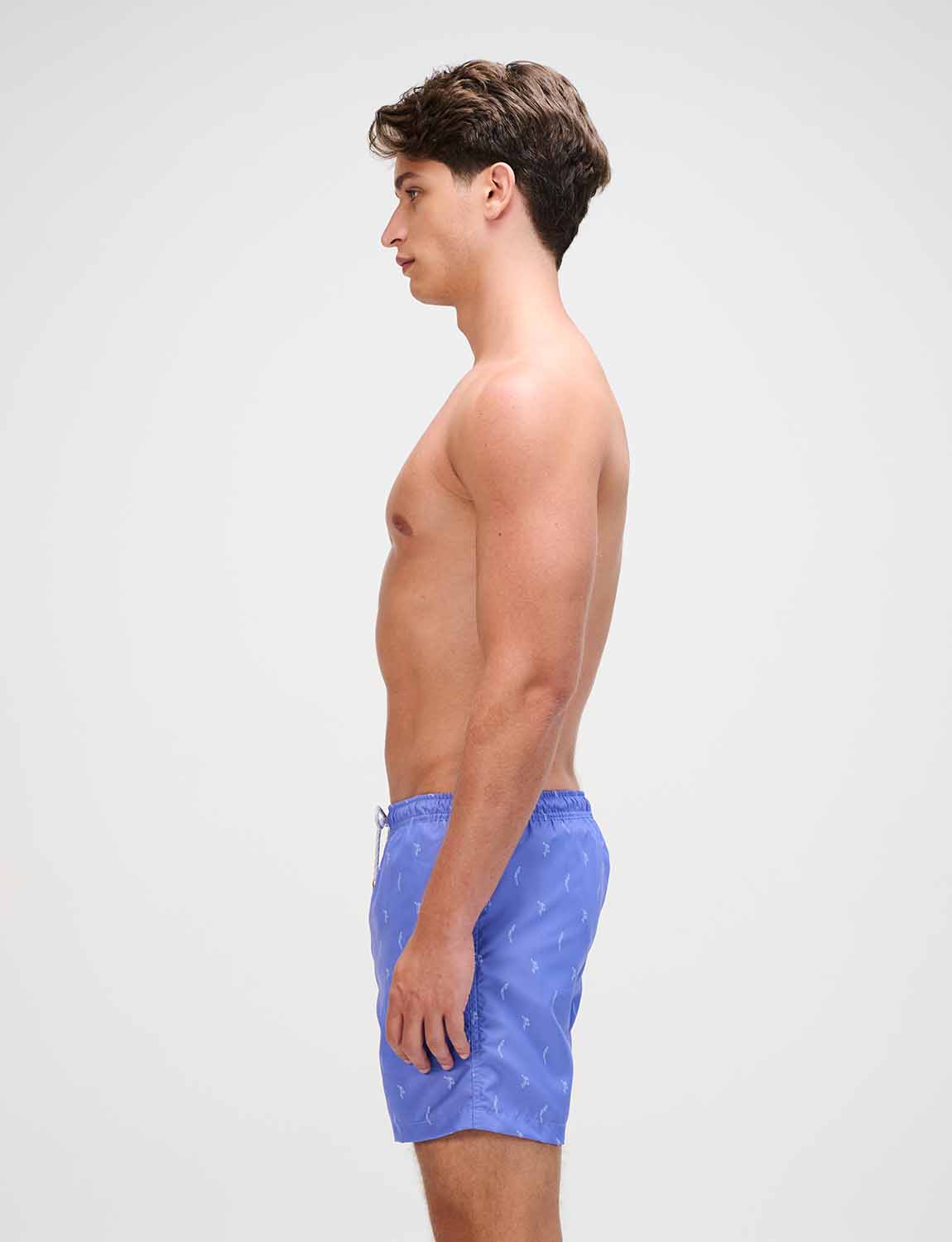 Noli Trunk - Image 3