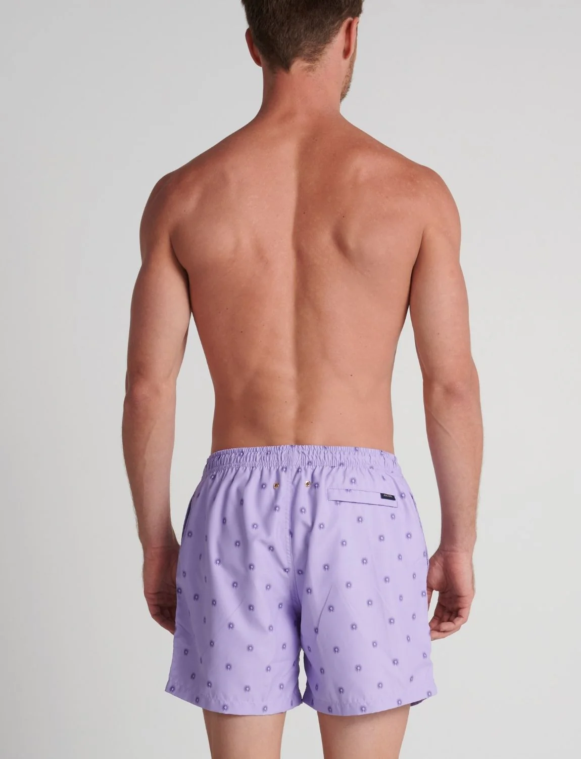 Solara Trunk - Image 2