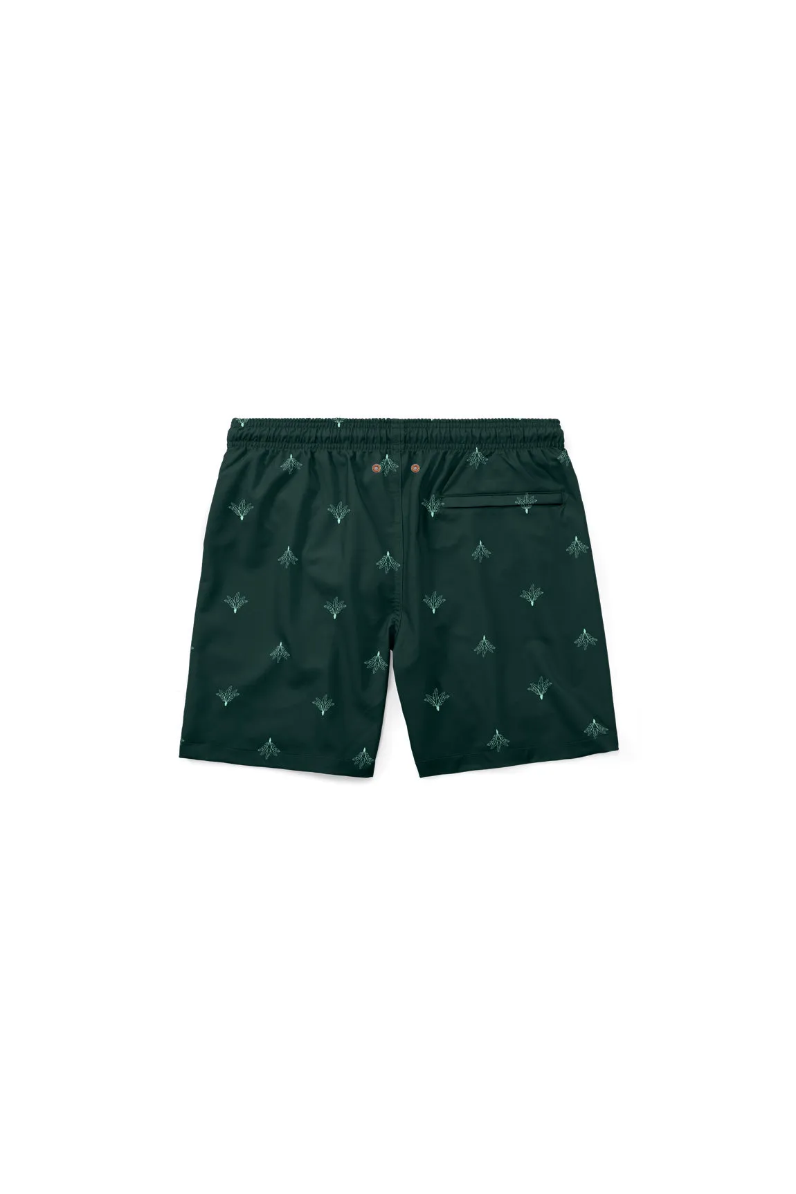 The Mini Palmaria Boy Trunk - Image 4